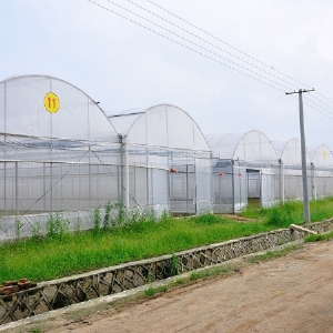 干貨分享，一分鐘帶你了解流滴膜